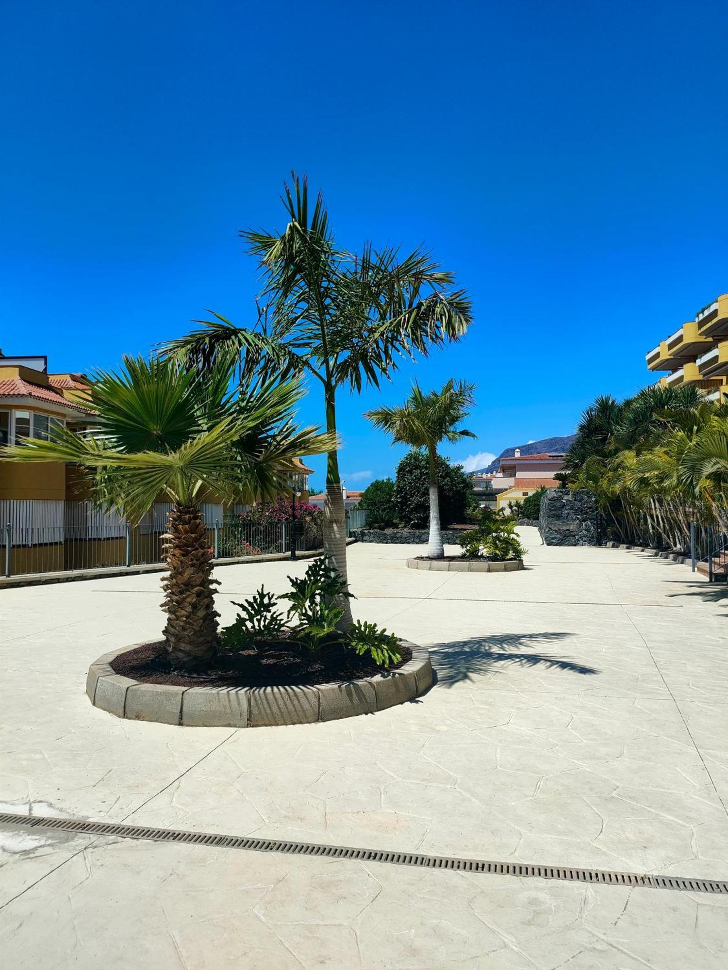 Belvedere Penthouse Puerto de Santiago  Exterior foto
